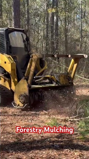 Forestry Mulching #caterpillar #forestrymulching #mulcher