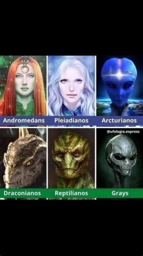 #reptilianos #🦎 #alarmclock04 #pleiadian #aliens #anunnaki
