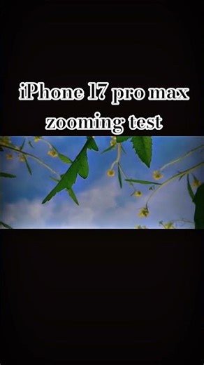 iPhone 17 pro max zooming test #shorts #short #iphone17promax