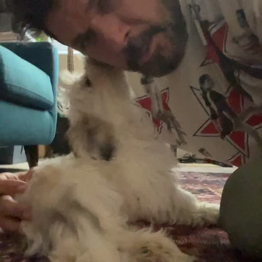 Because I love him #puppylife🐾 #puppylove #puppiesofinstagram #havamalt | Billy Galewood