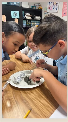 Somerset Academy Silver Palms K-8 on Instagram: "Through hands-on exploration and real-world problem solving, our young scientists asked questions, tested ideas, and discovered that science isn’t just something you read about — it’s something you do. From observing reactions to thinking like engineers, they were fully engaged and curious every step of the way. Experiences like this spark innovation, critical thinking, and a love for STEM that will carry far beyond the classroom. The future is br