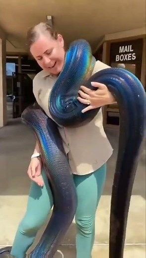 sexy lady with dangerous snake.. see what happened?