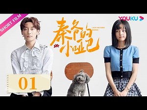 ENGSUB【FULL】Mute girl is reborn and uses the CEO to get her revenge | Mr. Qin's Mute Little Fox EP01