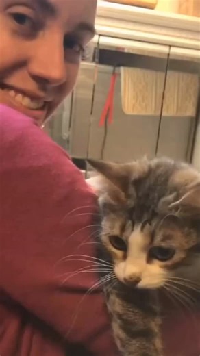 Meet Bao Zi, the Maine Coon mix who went from hiding in the basement to the ultimate adventure cat. She travels the world with moms living the best kitty life! 🚌🌏✈️🧳😺 . . . . . #catreels #catreel #adventurecats #travelwithcat #cattravelstheworld #mainecoonmixcat #catlıfe #catvideosofinstagram #cutekittycat | Cats And Kittens