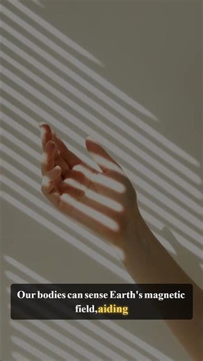 Human Body's Natural Navigation System