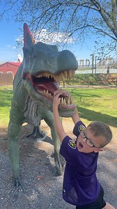 144K views · 31 reactions | Dinosaur Land Dinosaur Land is a...