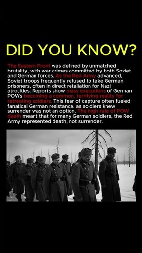 The terrifying reality on the eastern front 🪖 #army #military #soldier #war #combat #militarylife