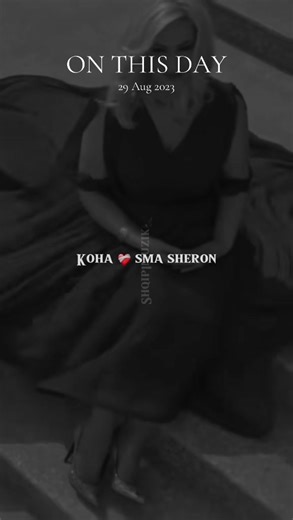 Voorgestelde accounts