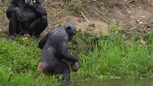 639K views · 1.8K reactions | We often get asked why we throw the...