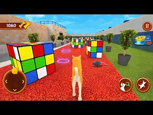 Dog Simulator Pet Dog Game Gameplay | Realistic Dog Life Simulator | Android Gameplay