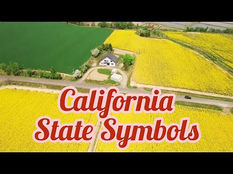 11 California State Symbols