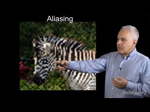 Microscopy: Resolution (Jeff Lichtman)