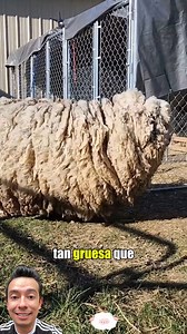 Ami Rodriguez on Reels