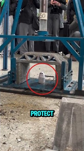 Smart Engineering vs. Gravity