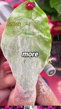 Tap the link in my bio to get full story#USA #Female-oriented #torturous #pretending to be poor