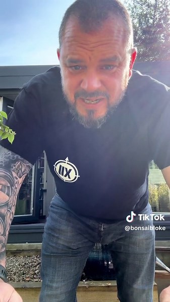 Creating Bonsai from Nursery Stock: Stunning Trees & Expert Techniques