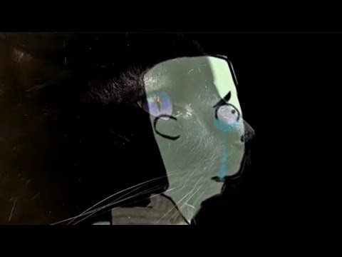 MAGICZNE PSIÓRY ZWIASTUN 1 SEZONU