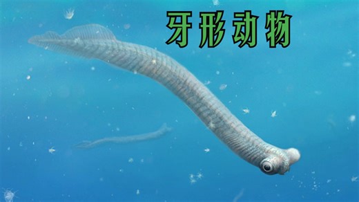 远古海洋中的袖珍碎骨魔，留下了对人类最实用的化石：牙形动物的故事