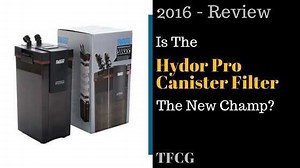 Hydor Canister Filter Review: Is This The New Champ In 2026?