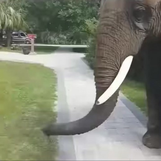 #reelsviralfb #funny #reelsviralfb2024 # | Jannatul Naim