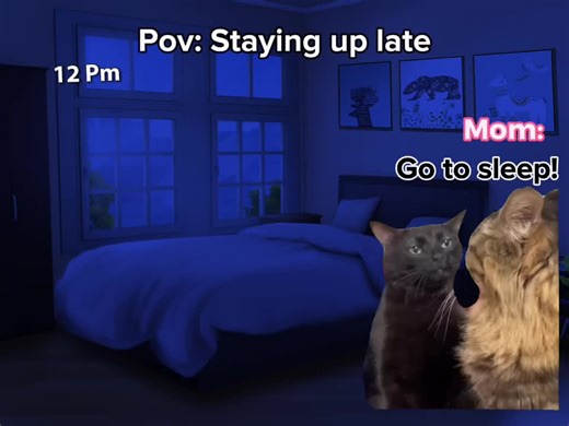 Cute Cat Slideshow: Storytime with Your Feline Friend 🐱