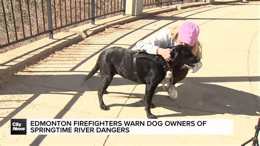 Edmonton firefighters warn dog owners of springtime river dangers