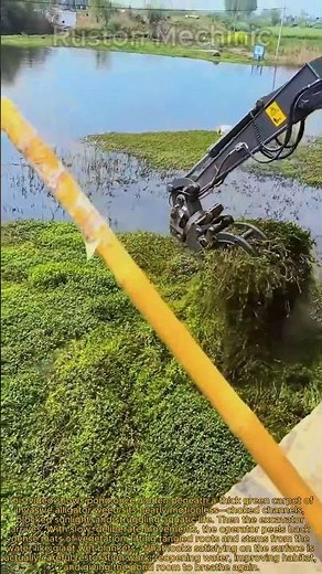 Clearing Dense Invasive Weeds Restoring a Choked Pond Mechanical Removal of Invasive Alligator Weed