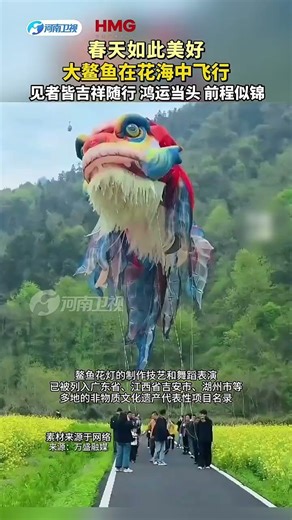 Giant Fish Flying in Flowers? Luck is in the Air!