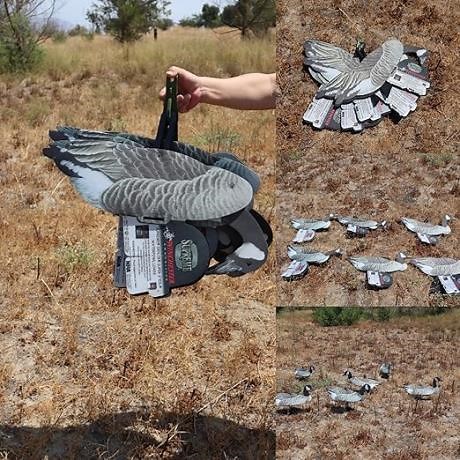 Introduction of our Goose Decoys. Can be Used as Floaters!