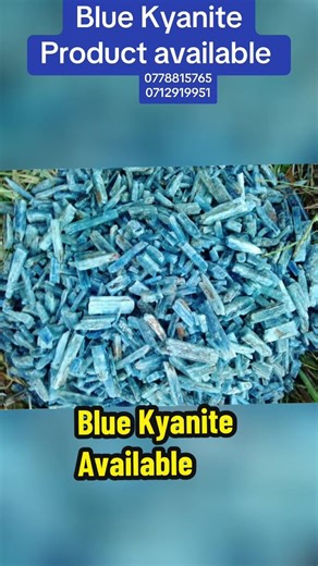 Blue Kyanite Product available for offtake. Get in touch 0778815765 0712919951 #bluekyanite #miningmadeeasy #miningtiktok #crystalmining #kyanite #kyanitecommunity #theminingplug #ZimbabweMiners #zimininatasaaveti