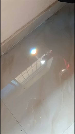 Littera Public School on Instagram: "🌈✨ Littera Public School | Class 8 | Physics – Light: Dispersion & Rainbow Formation | Patna 🏫🌟 Class 8 students explored the chapter Light with a focus on dispersion of white light and rainbow formation. They learned how white light splits into seven colours and understood the science behind natural rainbows. To remember the colour sequence, students used mnemonics like VIBGYOR and ROY-G-BIV. The lesson helped connect theoretical concepts with everyday na