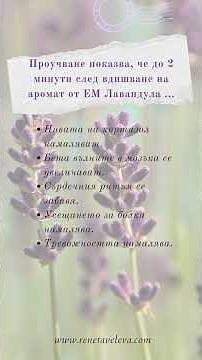 Тайната соло на етерично масло Лавандула #изберидабъдешздрав #етеричнимасла