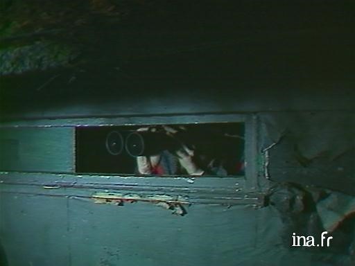 La chasse à la hutte