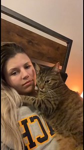 104K views · 4.1K reactions | Morning cuteness  #cat #catlover #catsoftiktok #catsdoingthings #cute #love #cuddles #cuddlycat | Pauit thecata | Facebook