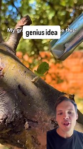 3.8M views · 52K reactions | The Weirdest Side Hustles Make the Most Money (IG: @beamishcreator) | The Koerner Office | Facebook