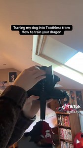 Create a Toothless Costume for Your Dog