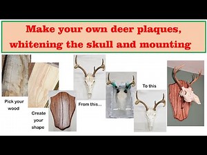 Making custom deer plaques, skull whitening and mounting