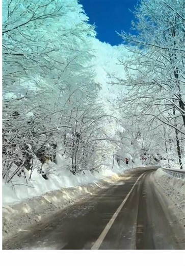 Cold roads or warm memories? The road towards Stâna de Vale in winter is not a drive, it is a slow seduction, a ribbon of asphalt swallowed by fir forests and silence. Somewhere in the Apuseni Mountains, Romania sheds its noise and vanity, leaving behind snow-laden branches, breath-fogged windows, and that old familiar thrill of going somewhere that still feels earned. This mountain refuge has been a spa retreat since the early 1900s, when Austro-Hungarian doctors prescribed its mineral springs 