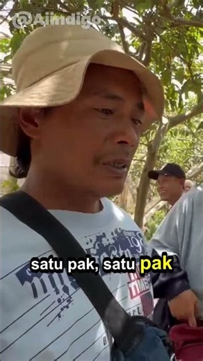 JAMBU ORGANIK RASA PREMIUM PANEN TIAP 5 HARI PETANI INI UNGKAP RAHASIANYA