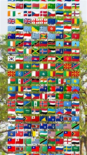 find the Indian falg find odd one out #flag #indian #shorts