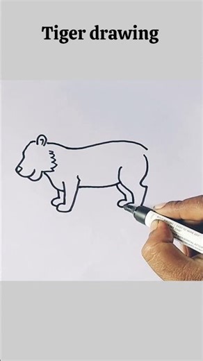 how to draw a tiger easy step by step #shorts