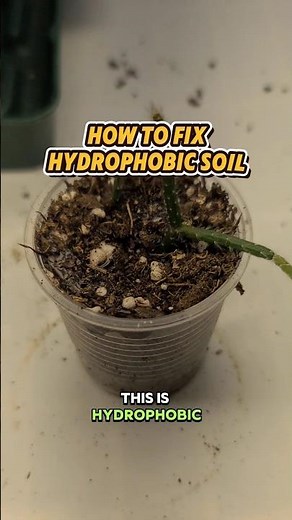 Soil just WON'T get wet!!! Here's how to fix it!
