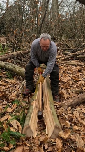 Splitting 6ft Log in Quarters