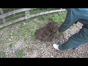 Catching a mole with a spade