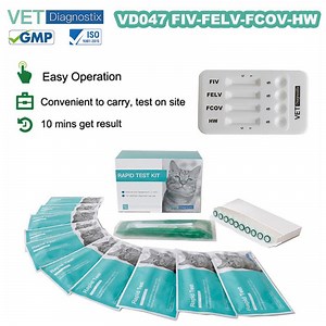 [Hot Item] Feline Fcov Fiv Felv Fhw Combo Test Coronavirus Heartworm Leukemia Immunodeficiency Rapid Test