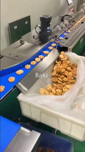 línea de envasado automático, Envasadora horizontal, Flowpack,Envasadora Horizontal Flow-Pack