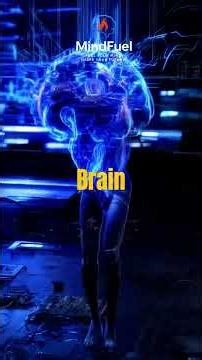 Stop Wasting Time! Work Smarter, Not Harder — MindFuel