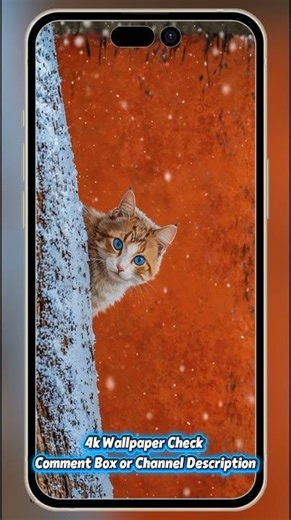 Ultimate Kawaii Cat Collection: 4K Aesthetic Wallpapers for Your Screen 🐱✨ || EliteWall