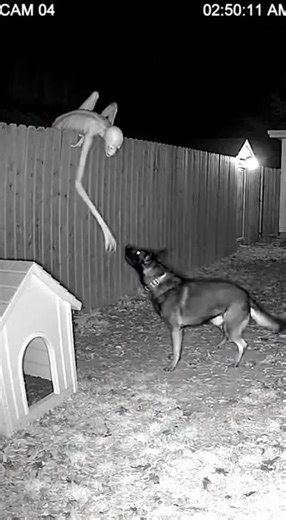 ¿Qué llegó al jardín?