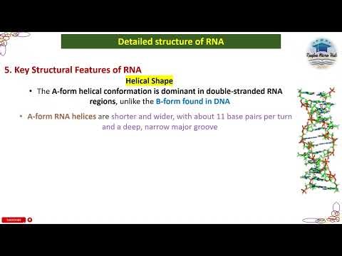 Key Structural Features of RNA | RNA | Genetics #trending #biology #microbiology